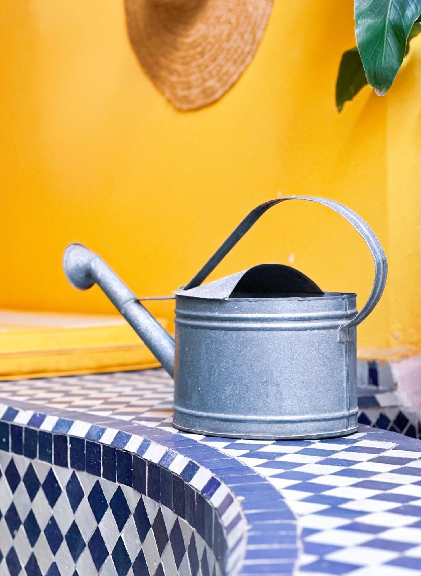 Riad Lauriers Blancs マラケシュ エクステリア 写真